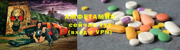ешки Алексин
