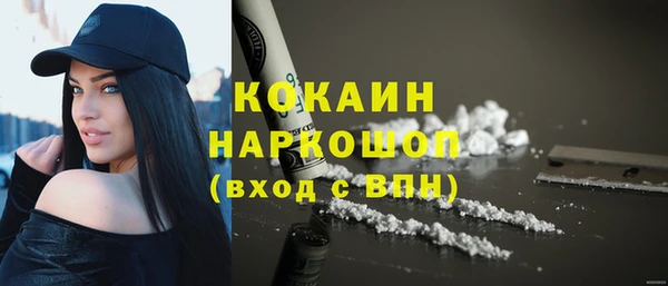 ешки Алексин