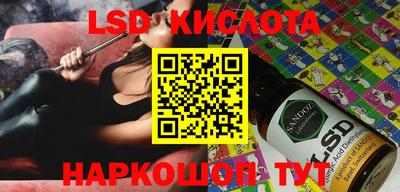 сатива Камышлов