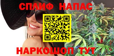 сатива Камышлов