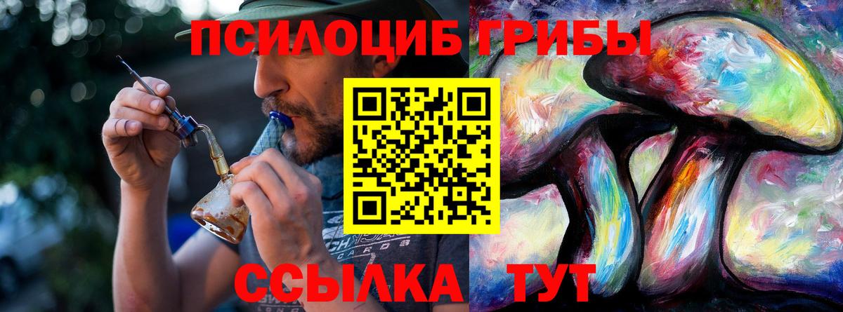 Галлюциногенные грибы Cubensis Можга