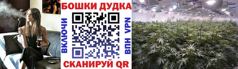 Шишки марихуана план  Можга 