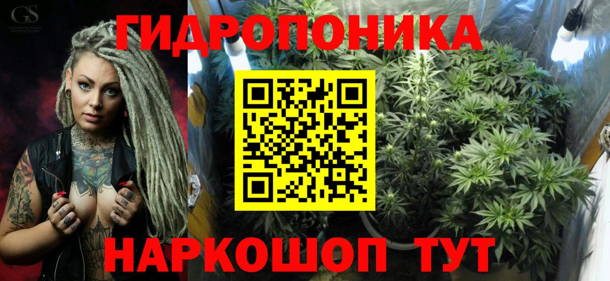 Можга  Бошки марихуана планчик  Марихуана планчик  МАРИХУАНА AK-47  Вход с VPN 